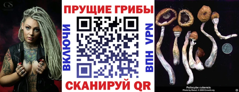 Купить закладки  Иннополис  Галлюциногенные грибы GOLDEN TEACHER 